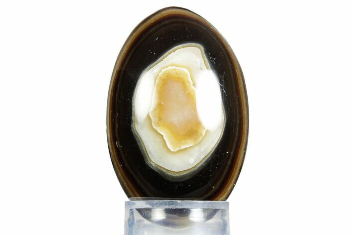 Swirling Polished Chocolate Calcite Egg - Pakistan #350180